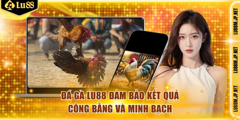 Đá gà Lu88 đảm bảo kết quả diễn ra minh bạch