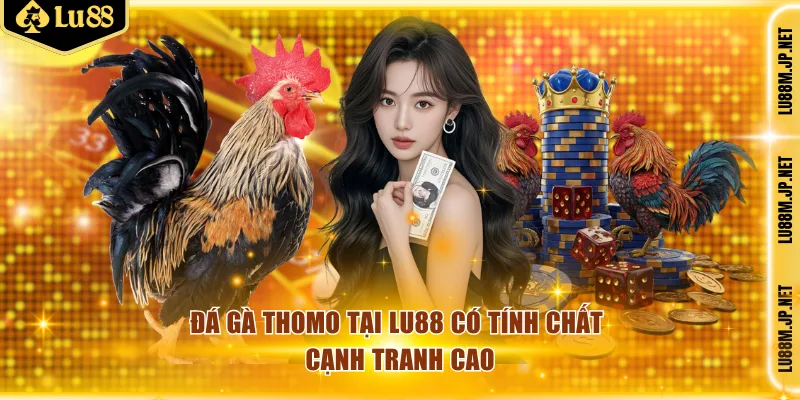 Đá gà Thomo tại Lu88 có tính chất cạnh tranh cao